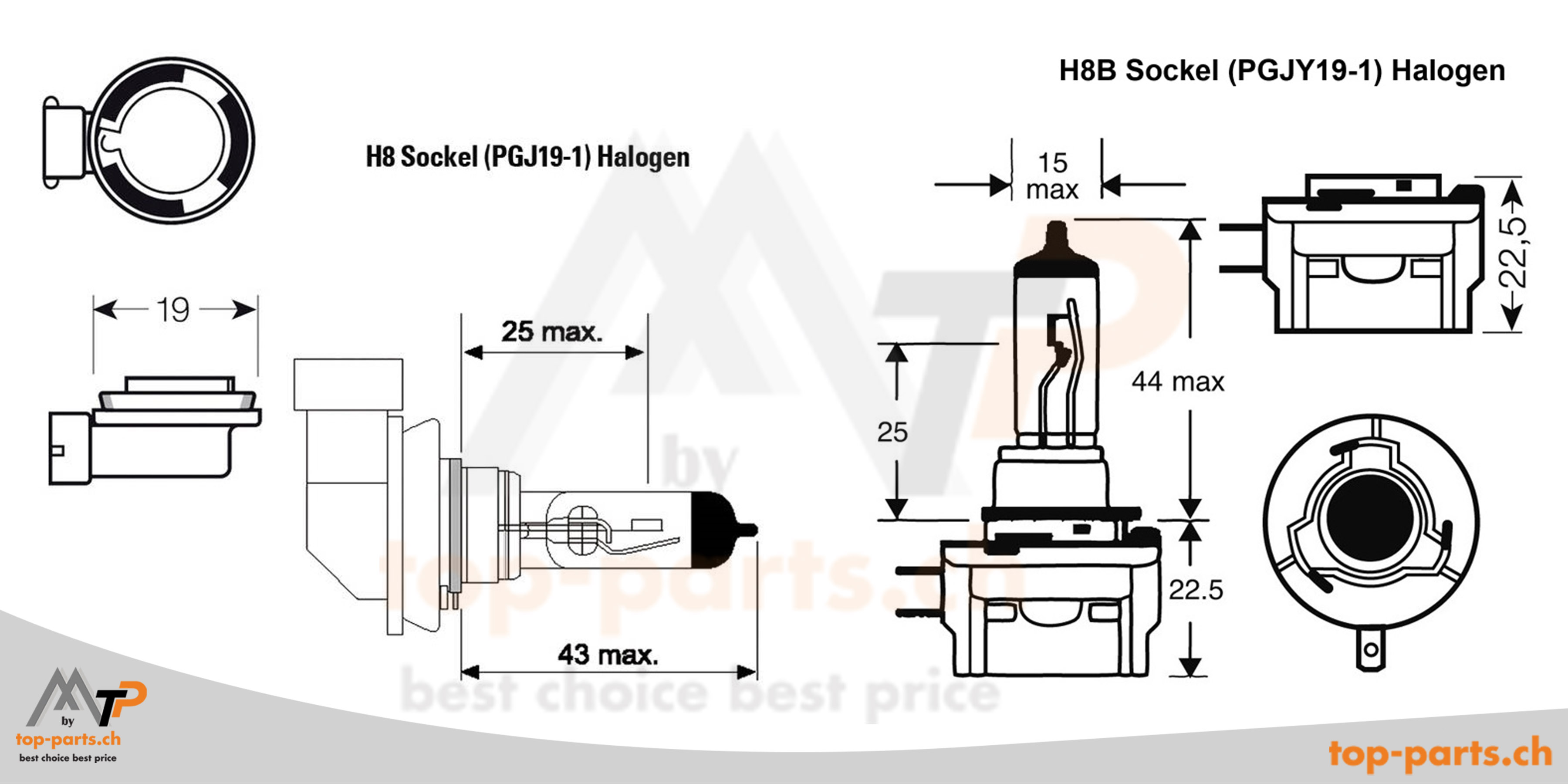 Halogenlampen H8 (PGJ19-1) und H8B (PGJY19-1) für Autos, Motorräder und Nutzfahrzeuge, ideal für Nebellichter, erhältlich bei top-parts.ch.