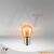 Eingeschaltete Osram PY21W Ultra Life Kugellampe, ohne Verpackung, 12V 21W, BAU15s Sockel, helles und langlebiges gelbes Licht
